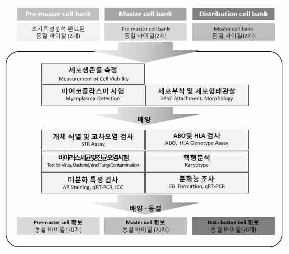 PCB, MCB, DCB 구축 절차