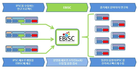 EBiSC 은행 업무 프로세스