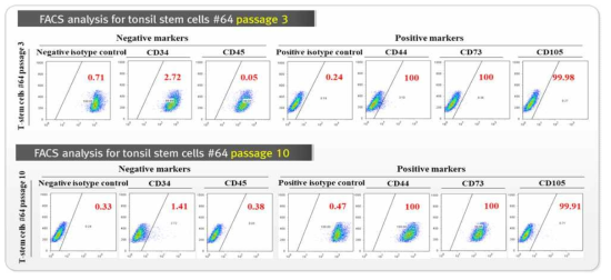 FACS analysis를 기반으로 다양한 마커 분석을 통한 편도 줄기세포의 특성 확인