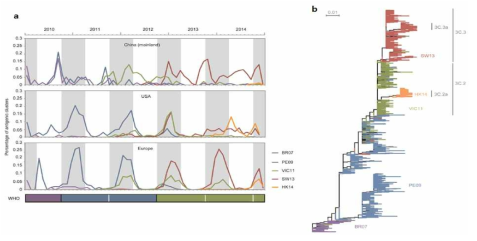 2010-2014년 H3N2 antigenic pattern(a) 및 HAI 부위의 계통분석(b)