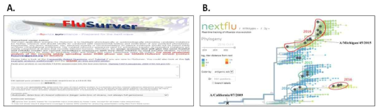 인플루엔자 유전자 정보 분석을 위한 DB (A. FluSurver, B. Nextflu)