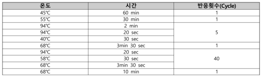 유전자 정보 생산을 위한 One step RT-PCR 조건
