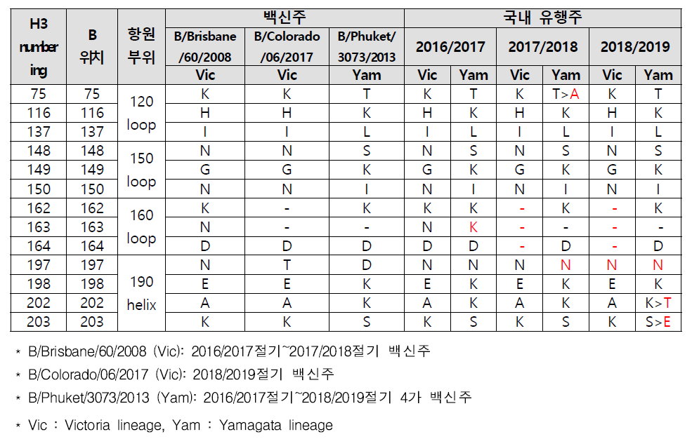 국내 B형 HA 유전자의 항원결정기 분석