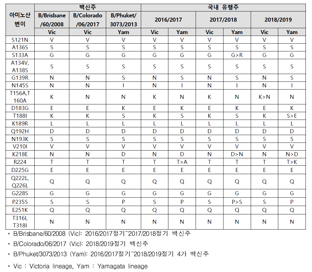 국내 B형 HA 유전자의 주요 아미노산 변이 분석