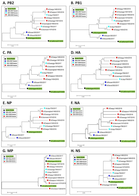 A/H1N1(pdm09)형 인플루엔자바이러스 유전자별 계통분석