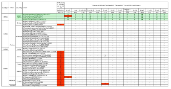 H5N6형 조류인플루엔자 바이러스 NA 유전자 변이