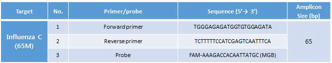 인플루엔자 C형 바이러스 유전자 검출을 위한 프라이머와 프루브 서열