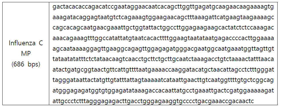 합성한 인플루엔자 C형 바이러스 MP 유전자 염기서열
