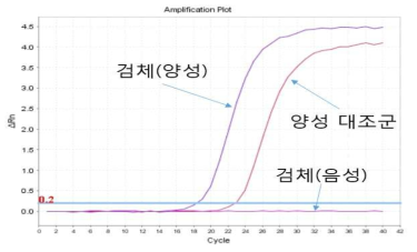 인플루엔자 C 바이러스의 MP 유전자를 검출하는 Real-time RT-PCR법