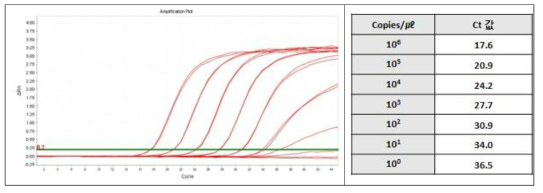인플루엔자 C 바이러스 농도별 (Copies/㎕) Real-time RT-PCR Ct 값