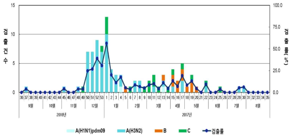 국내 인플루엔자 A(H1N1)pdm09, A(H3N2), B 및 C 바이러스 검출률