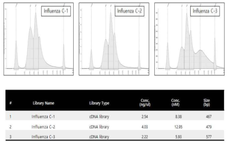 NGS용 cDNA library QC 결과