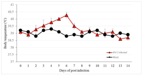 인플루엔자 C형 바이러스 감염 족제비의 체온 변화 그래프
