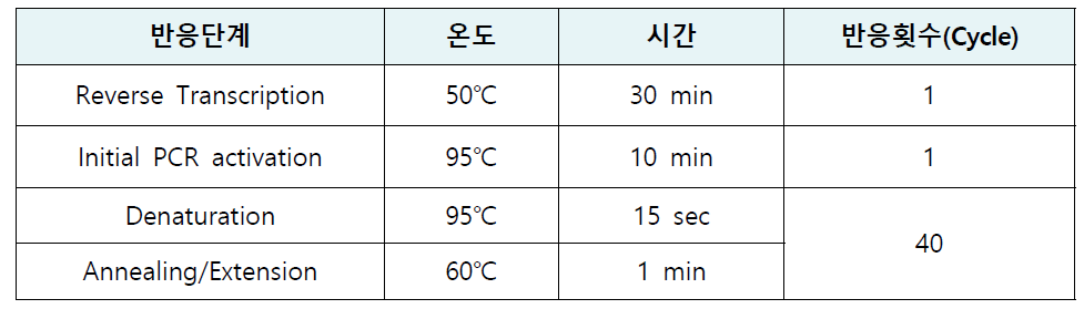 Real-time RT-PCR 반응 조건