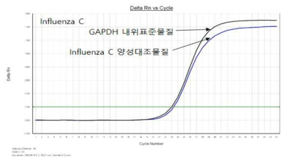인플루엔자 C형 바이러스 Real-time RT-PCR 양성결과 예시