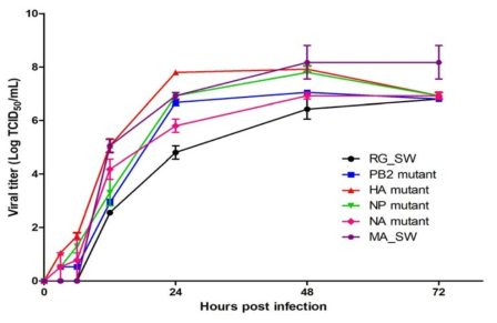 재조합 인플루엔자 바이러스들의 MDCK 세포에서의 증식 곡선