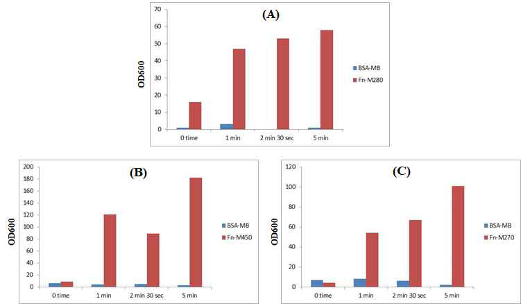 반응 시간별 V. vulnificus capture. (A) Fn-M280 (1×108 beads)와 V. vulnificus (105 CFU)를 혼합 후 0~5min간 시간별로 반응 후 magneitc bar를 이용하여 V. vulnificus 와 부착한 비드를 회수하고 선택배지에 계단희석하여 균을 배양하였다. (B) Fn-M450 (1×108 beads)와 V. vulnificus (105 CFU). (C) Fn-M270 (1×108 beads)와 V. vulnificus (105 CFU)