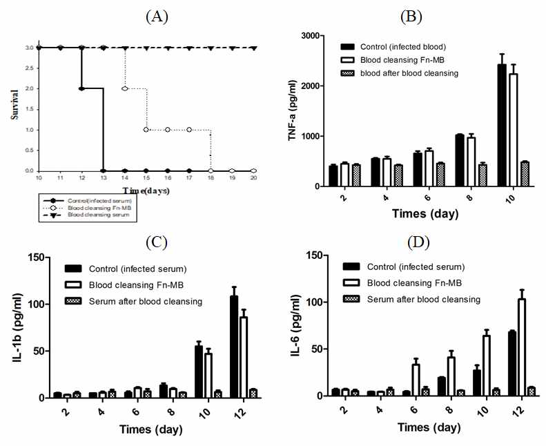 Blood Cleansing에 의한 마우스 감염 및 사이토카인 변화