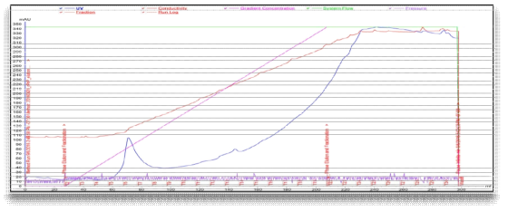 재조합 단백질 FPLC 정제 과정 중 elution curve (blue line)