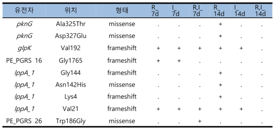 K strain에서의 약제처리 후 변이