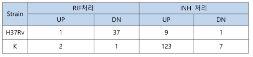 항결핵제 처리 14일차 비교 (발현량 2배 이상 차이)