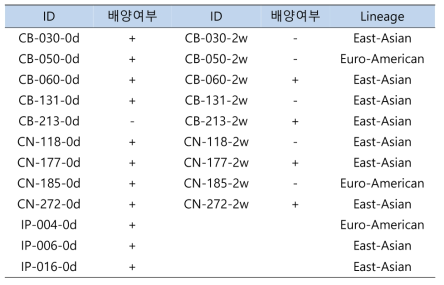 연구대상 임상검체로 부터의 분리배양 결과