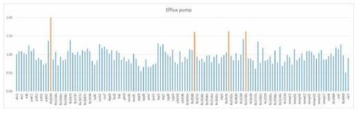 CN-177 사례 분리주의 치료 시기에 따른 efflux pump 유전자들의 발현 변화