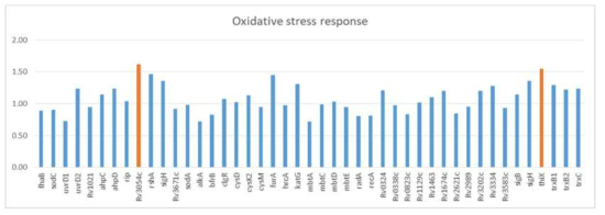 CN-177 사례 분리주의 치료 시기에 따른 oxidative response 관련 유전자들의 발현 변화