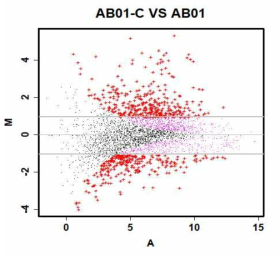 아시네토박터 바우마니 AB01과 AB01-C 간의 발현량에 차이를 보이는 유전들의 분포(MA-plot)