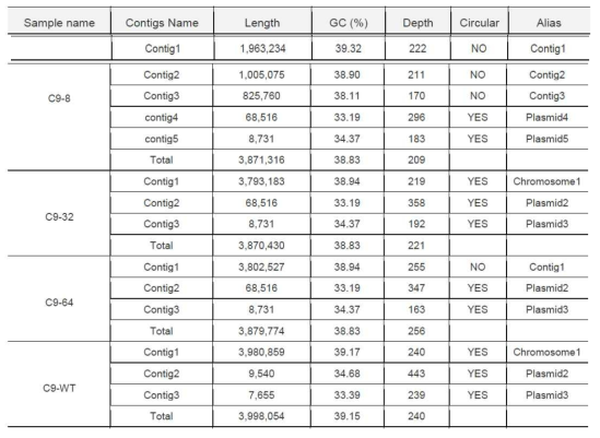 아시네토박터 C9와 그 클로르헥시딘 내성유래균주들의 유전체 contig 길이 및 GC contents