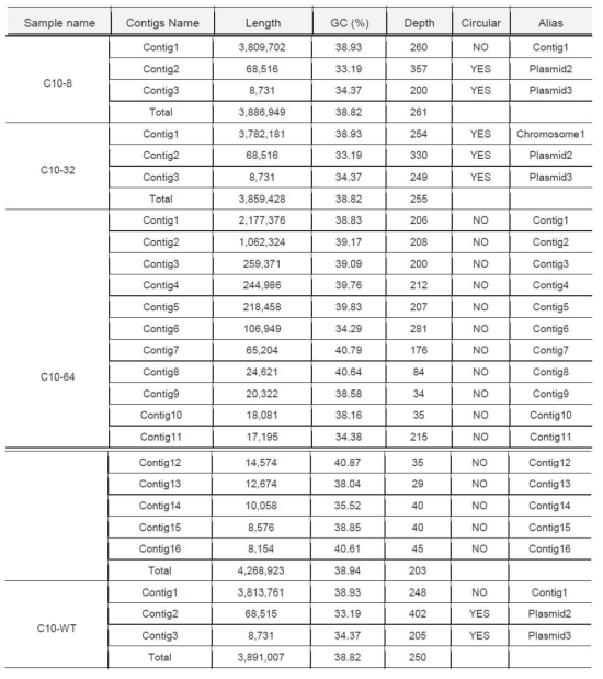 아시네토박터 C10과 그 클로르헥시딘 내성유래주들의 유전체 contig 길이 및 GC contents