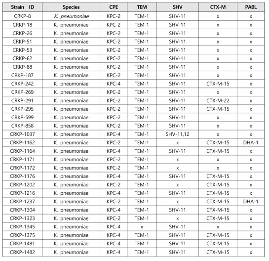 KPC 생성 K. pneumoniae의 conjugation 수행 대상균주(22주)