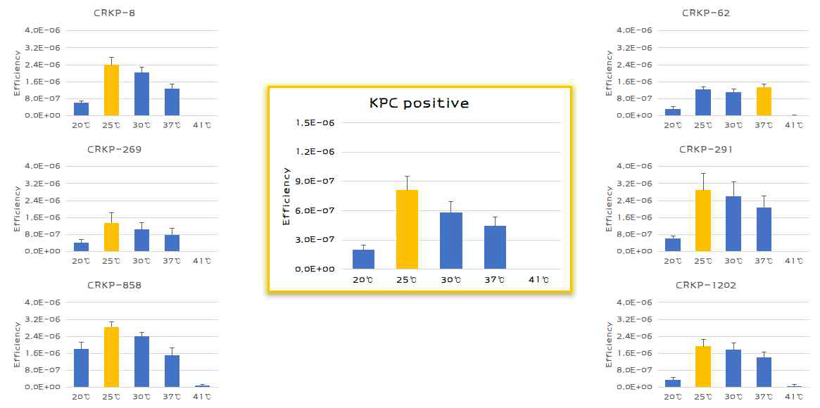 KPC 생성주의 carbapenemase 전달 효율 비교