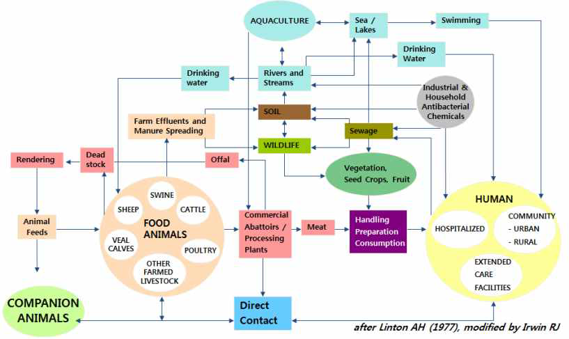 Epidemiology of antimicrobial resistance