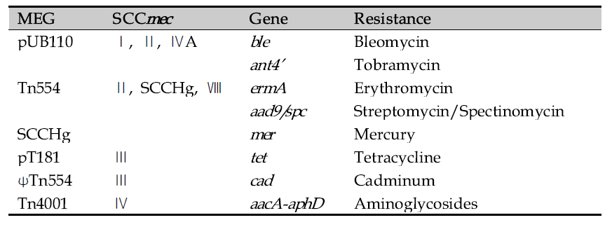SCCmec이 포함하고 있는 항생제 내성 유전자