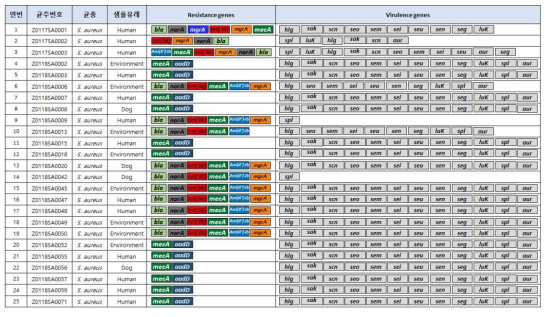 S. aureus 항생제 내성유전자 및 독성유전자 프로파일