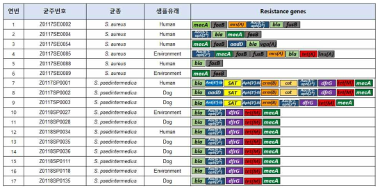 S. epidermidis 및 S. pseudintermedius 항생제 내성유전자 프로파일