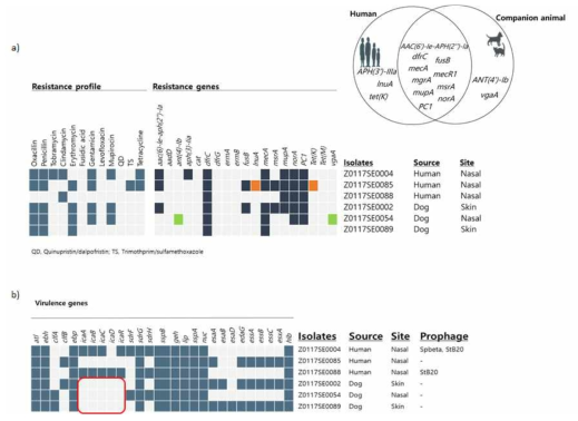 사람 및 반려동물 분리 S. epidermidis 균주에서 항생제 내성 (a) 및 virulence factor (b) 비교