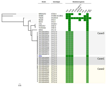 S. aureus (Case 1-3)의 phylogenetic tree 분석 및 항생제 내성 유전자 프로파일 비교