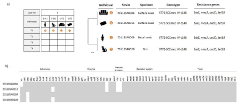 Case 1에서 phylogenomic 분석 (a) 및 virulence factor (b) 비교