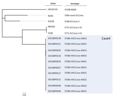 S. pseudintermedius (Case 4)의 phylogenetic tree 분석