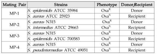 Mating pair 균주 리스트