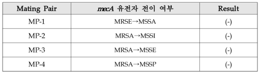 Liquid mating 법에 따른 mecA 유전자 전이 확인 결과