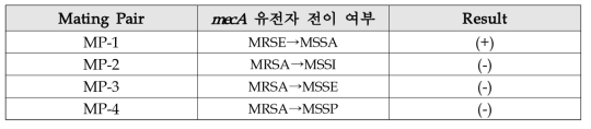 Conjugative filter mating 법에 따른 mecA 유전자 전이 확인 결과