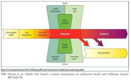 청소년과 젊은 사람의 건강에 대한 수요와 중재에 대한 개념틀