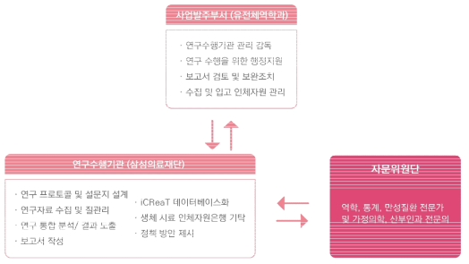 연구수행체계