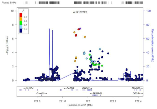Regional association plots of chromosome 1q41