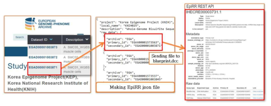 EGA에 등록된 원시데이터 현황을 json파일 포맷으로 파일을 작성한 뒤 EpiRR 국제 컨소시엄의 공개 시스템 중 하나인 EpiRR에 등록하는 방법