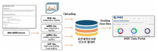 데이터의 공개는 웹서버에 업로드된 데이터 파일의 URL과 부가적인 metadata를 json 포맷의 파일로 작성하여 전달하면 IHEC Data Portal에 등록되는 방법으로 진행