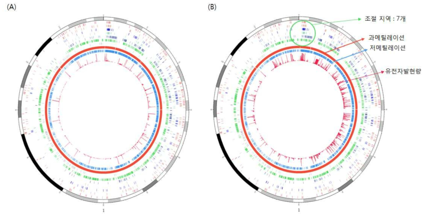 Chromosome 1번의 0~120Mb 지역의 통합 지도. 7개 조절 지역 (active promoter, repressive promoter, active enhancer, poised enhancer, repressive enhancer, gene body, repressor)과 메틸화 및 유전자 발현량에 대한 지도 (A) 당뇨환자 (B) 정상인